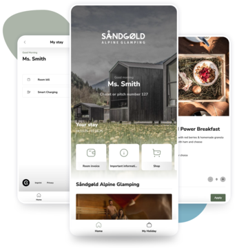 Esempio di visualizzazione della homepage dell'Hotel Sandgold nell'app